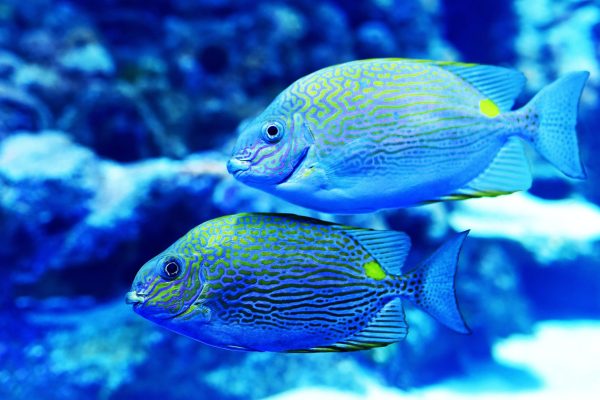 david-clode-vh5Ny_tIdL4-unsplash